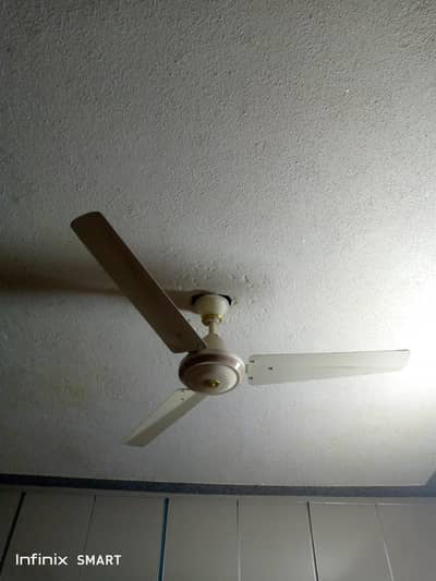 younus fan