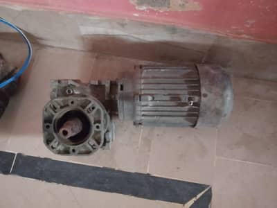 Gear Motor
