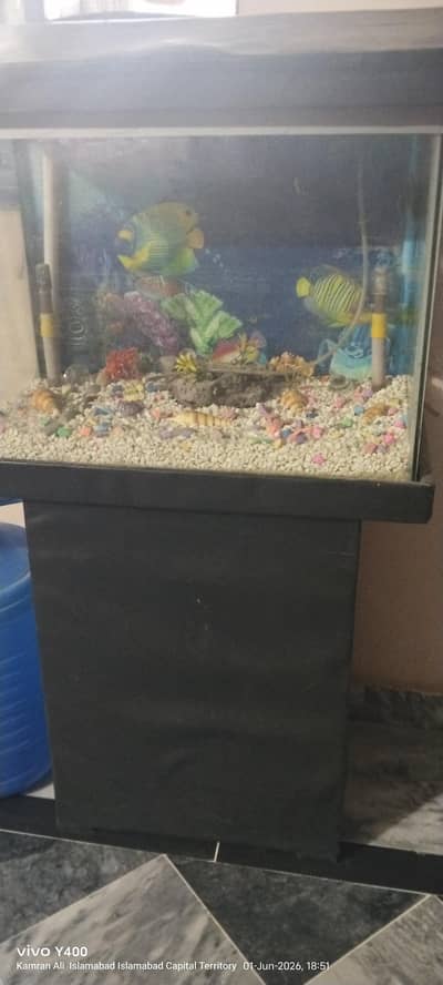 Fish Aquarium with all reasons price and urgent sale