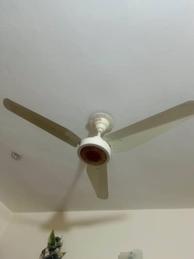 pak sun fan
