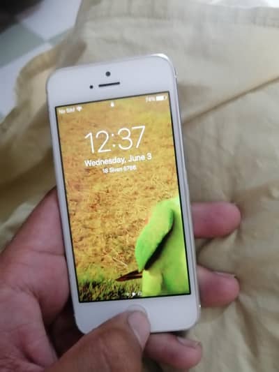 Apple iPhone 5s