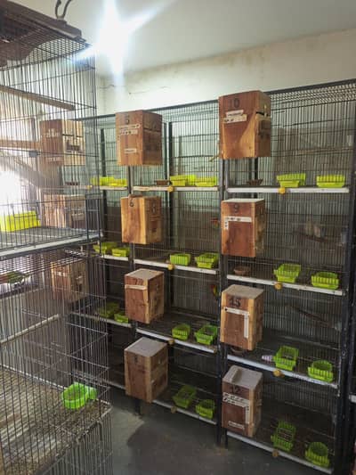 cages for sale