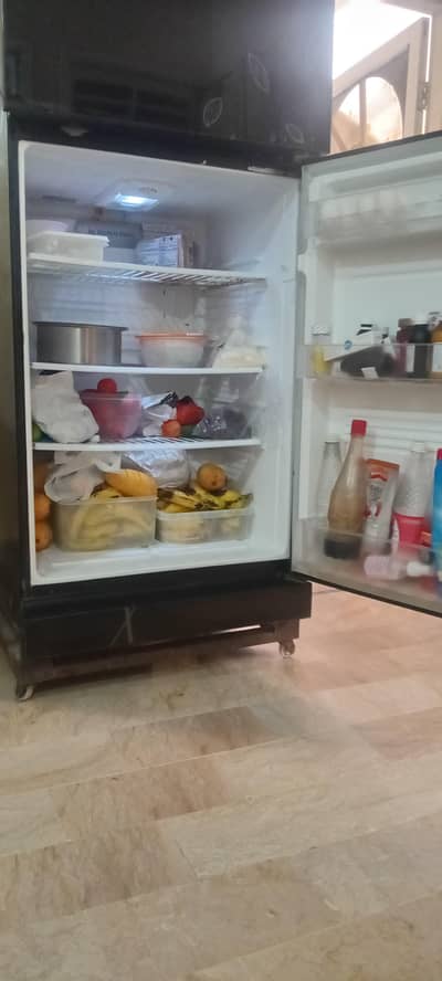 PEL Refrigerator for Sale