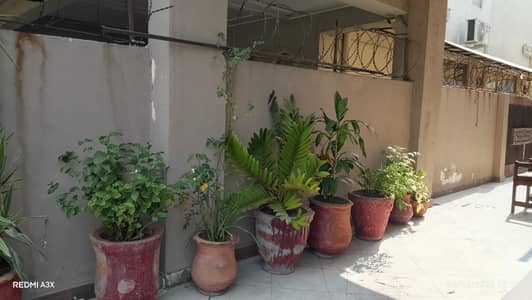 Plant Pots