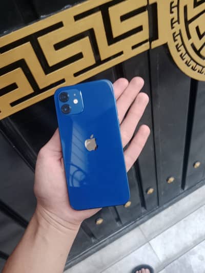Apple iPhone 12