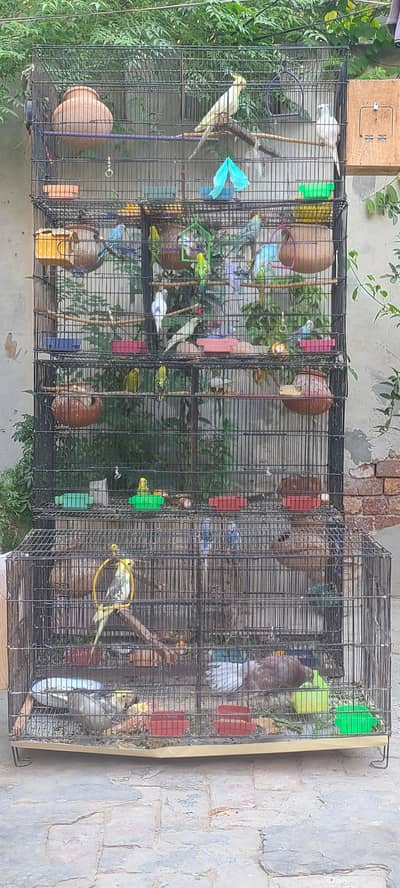 bird cage ( only cage )