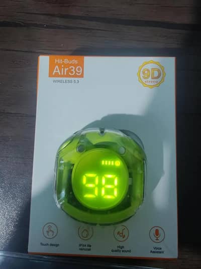AR31 Earbuds