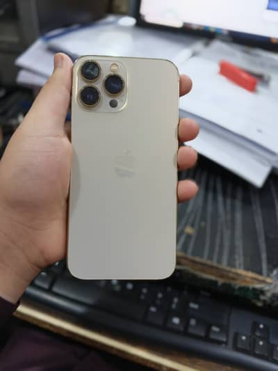 iPhone 13 Pro Max