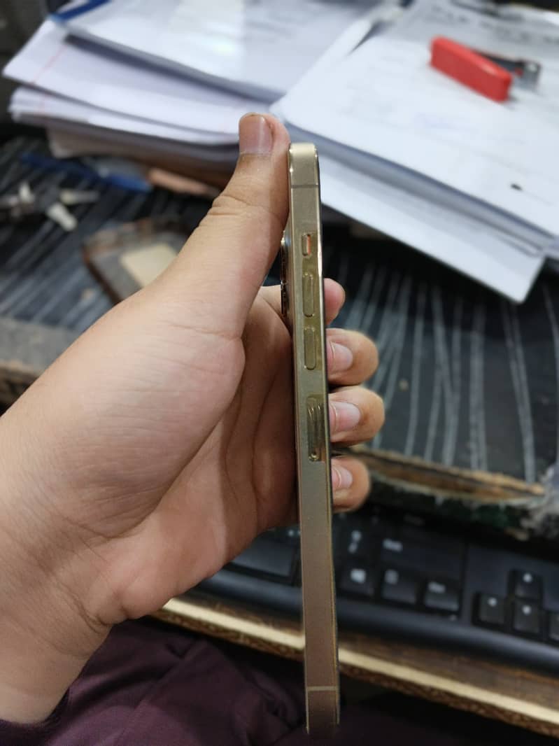 iPhone 13 Pro Max 1