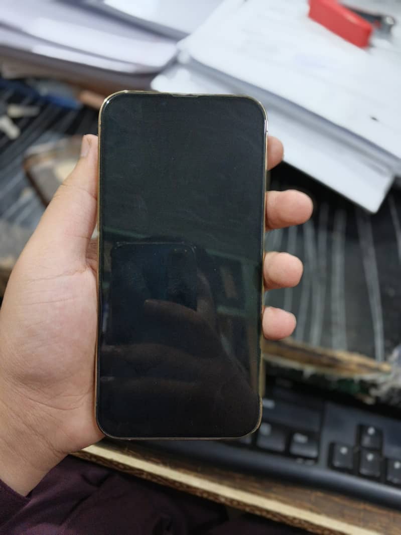 iPhone 13 Pro Max 2