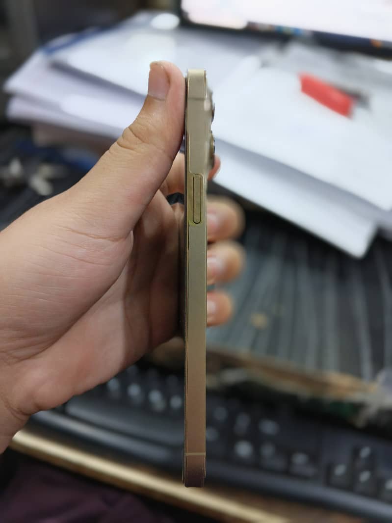 iPhone 13 Pro Max 3