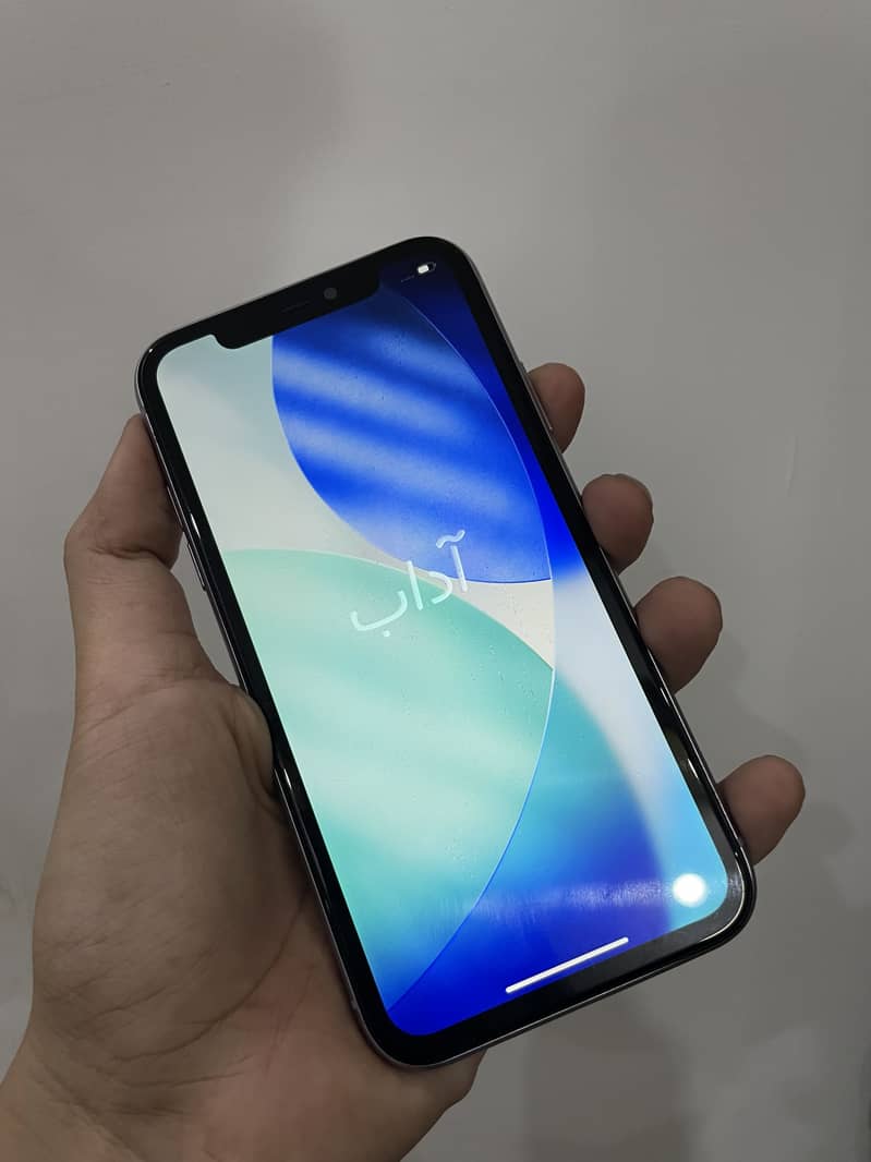 Apple iPhone 11 0