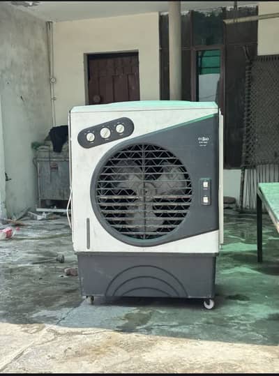 Coller for sale 03238563639