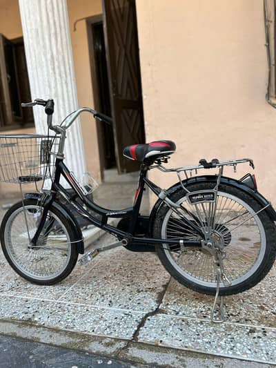brand new dolphin river bicycle