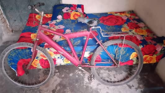 Full Size Road Bicycle with new chain and Garari.