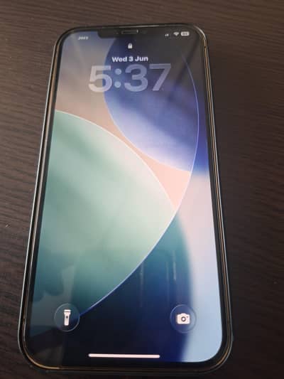 Apple iPhone 12 Pro Max