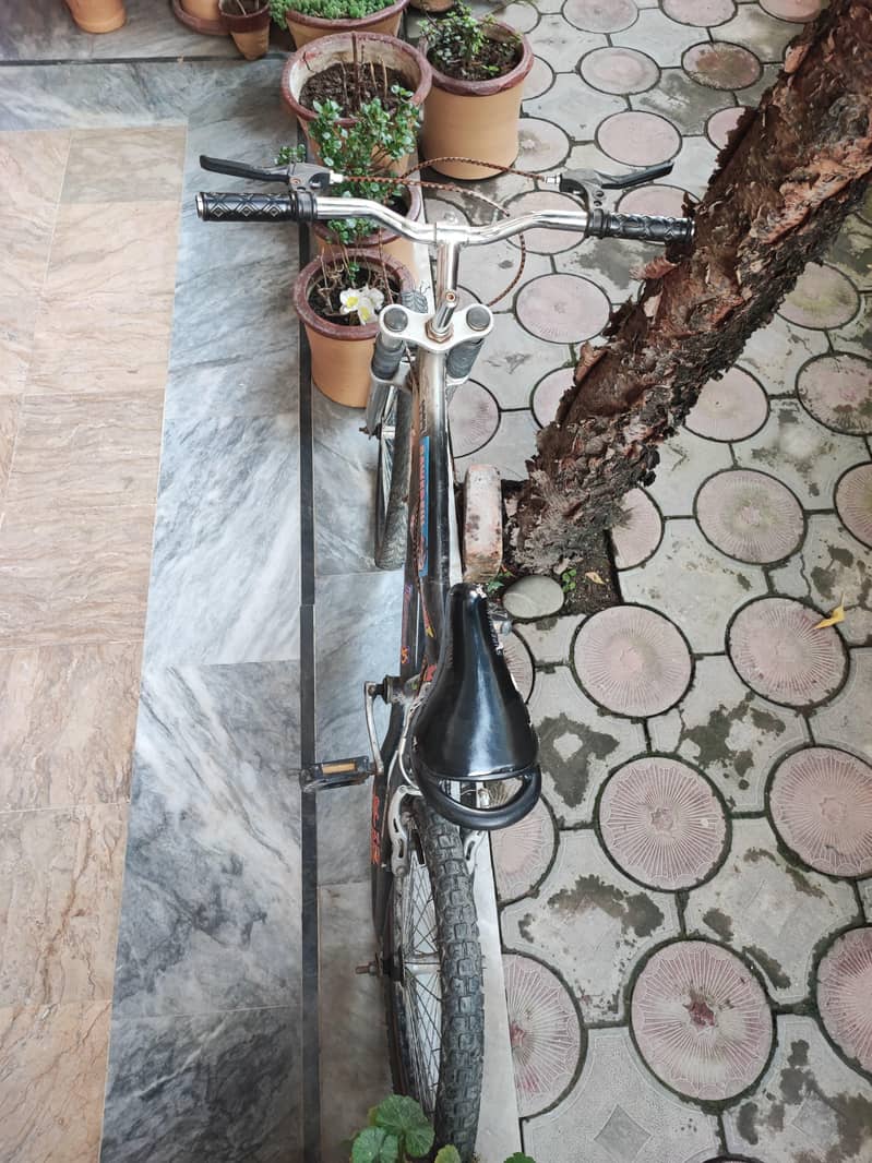 cycle 2