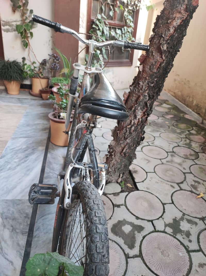 cycle 3