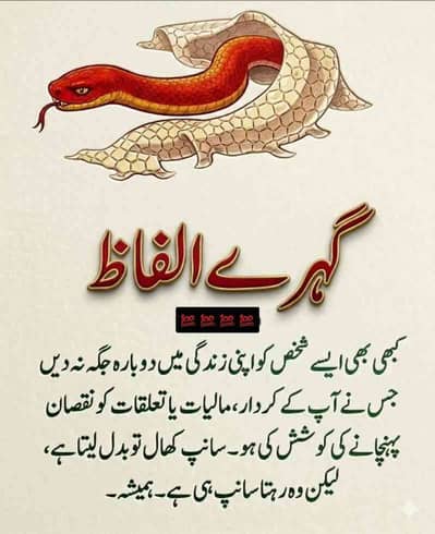 Usman Malik
