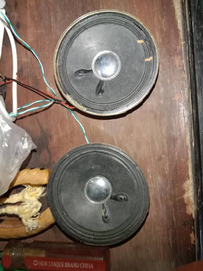 car speaker with module