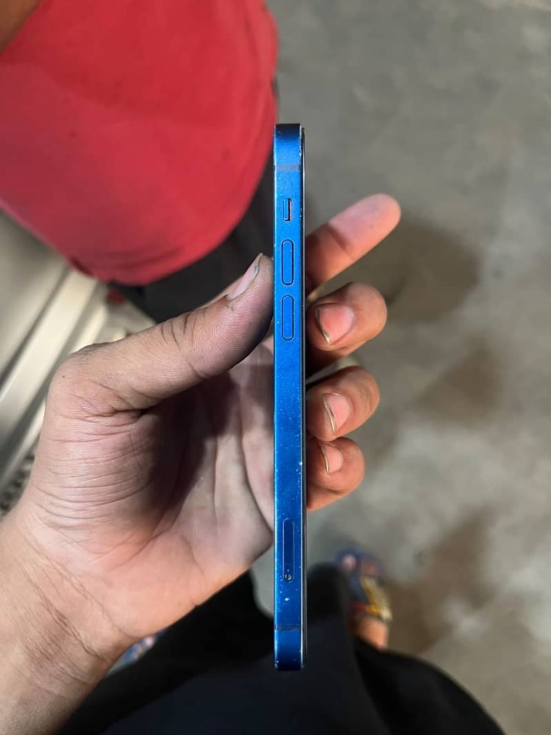 Apple iPhone 12 1