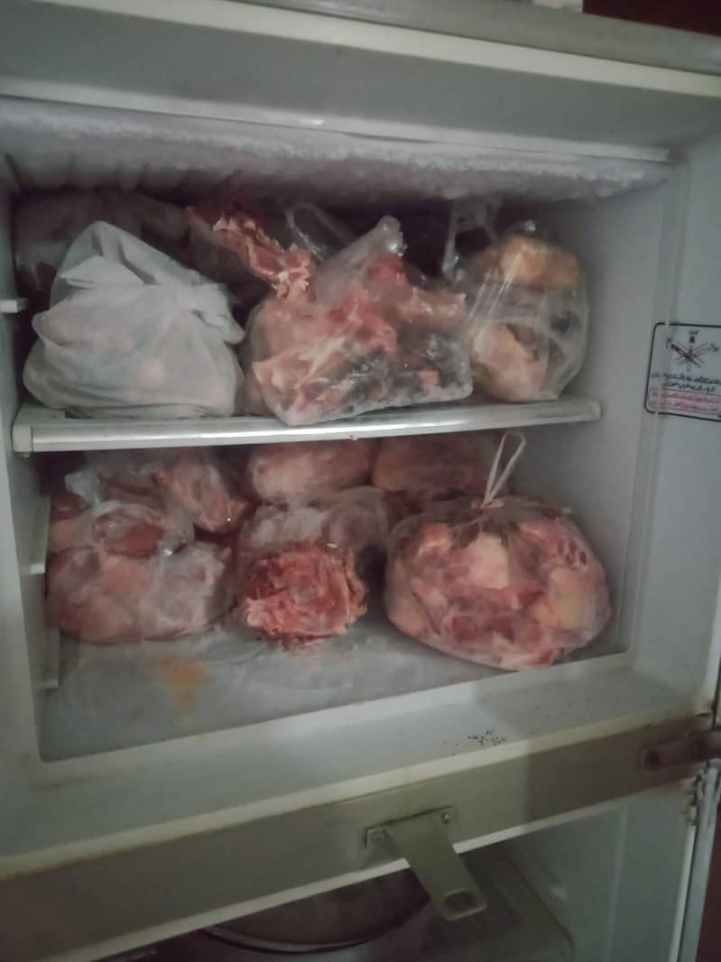 fridge 1