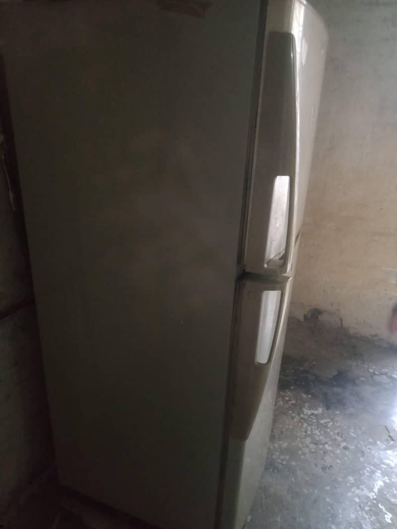 fridge 5