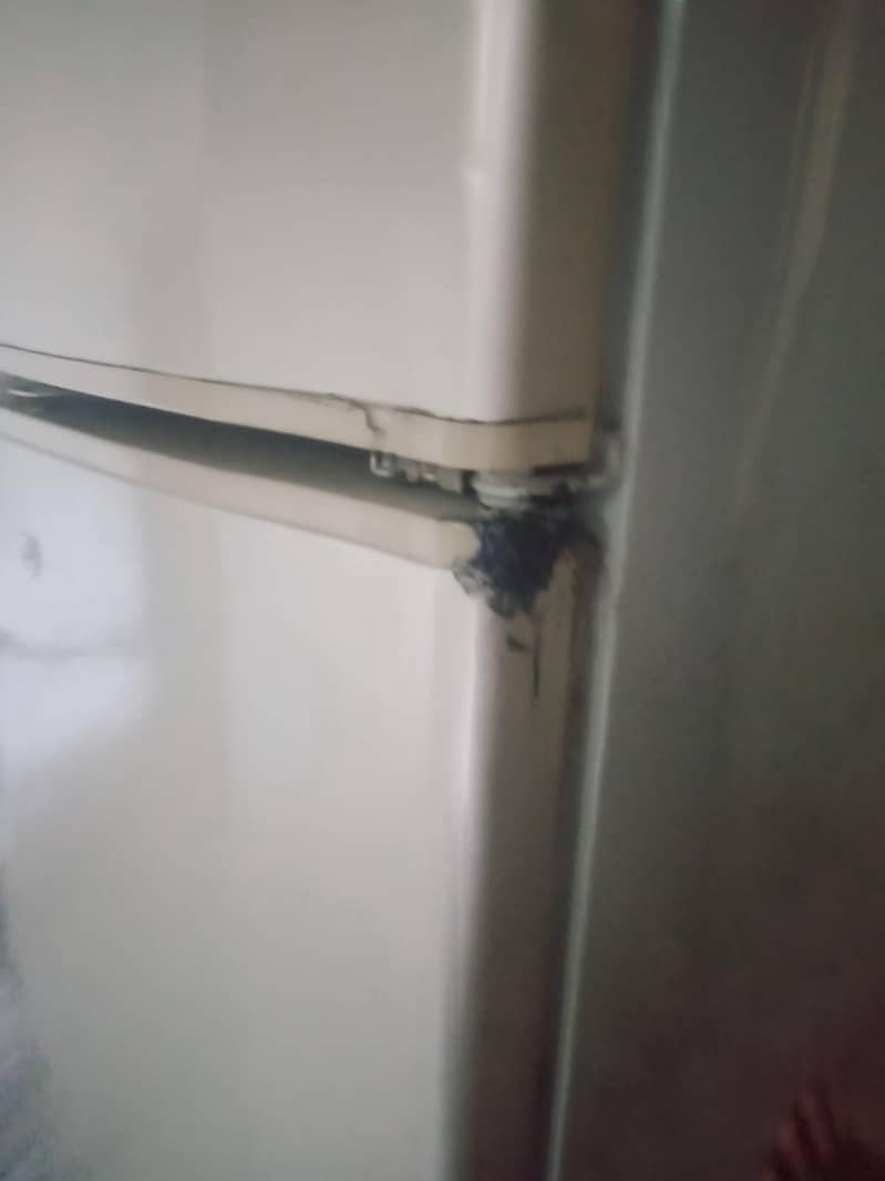 fridge 7