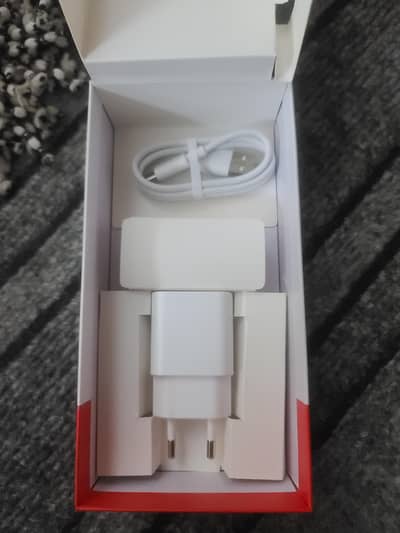 ZTE Box Pulled Charger (UNUSED)