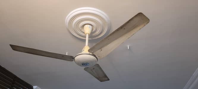 seiling fan 56"