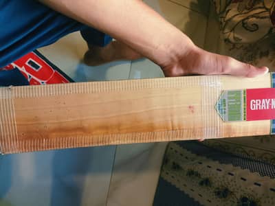 cricket bat