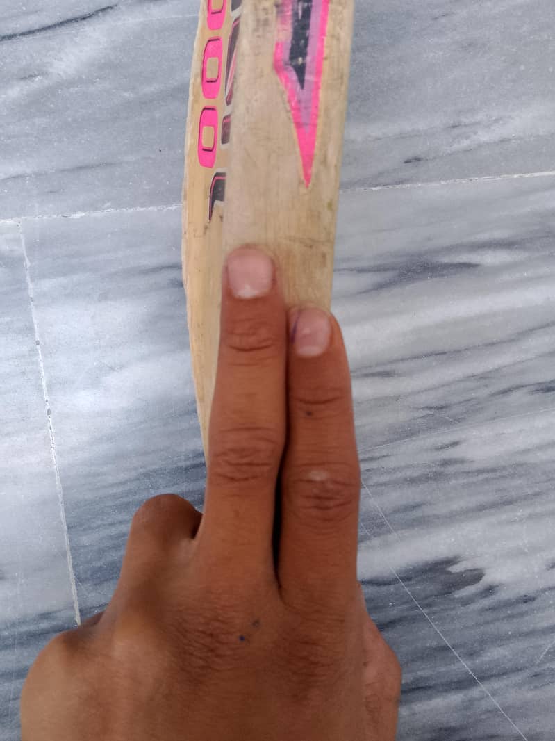 ca bat 2