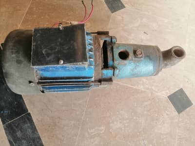Shazad pump 028