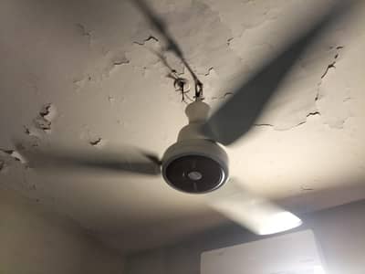 new Fan for Sale