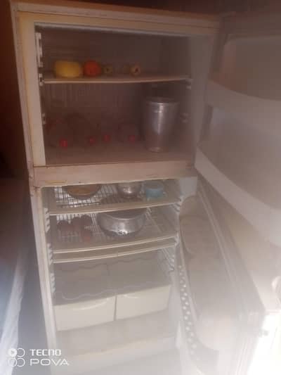 pel fridge