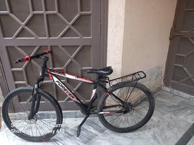 Forever Bicycle