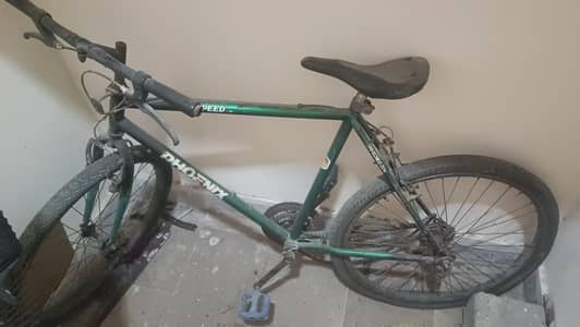 Bicycle ( abandoned ,needs work before use) and Tricycle in working
