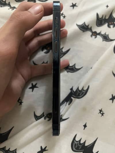 Apple iPhone 12 Pro