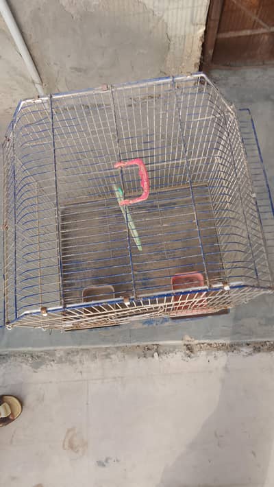 birds cage