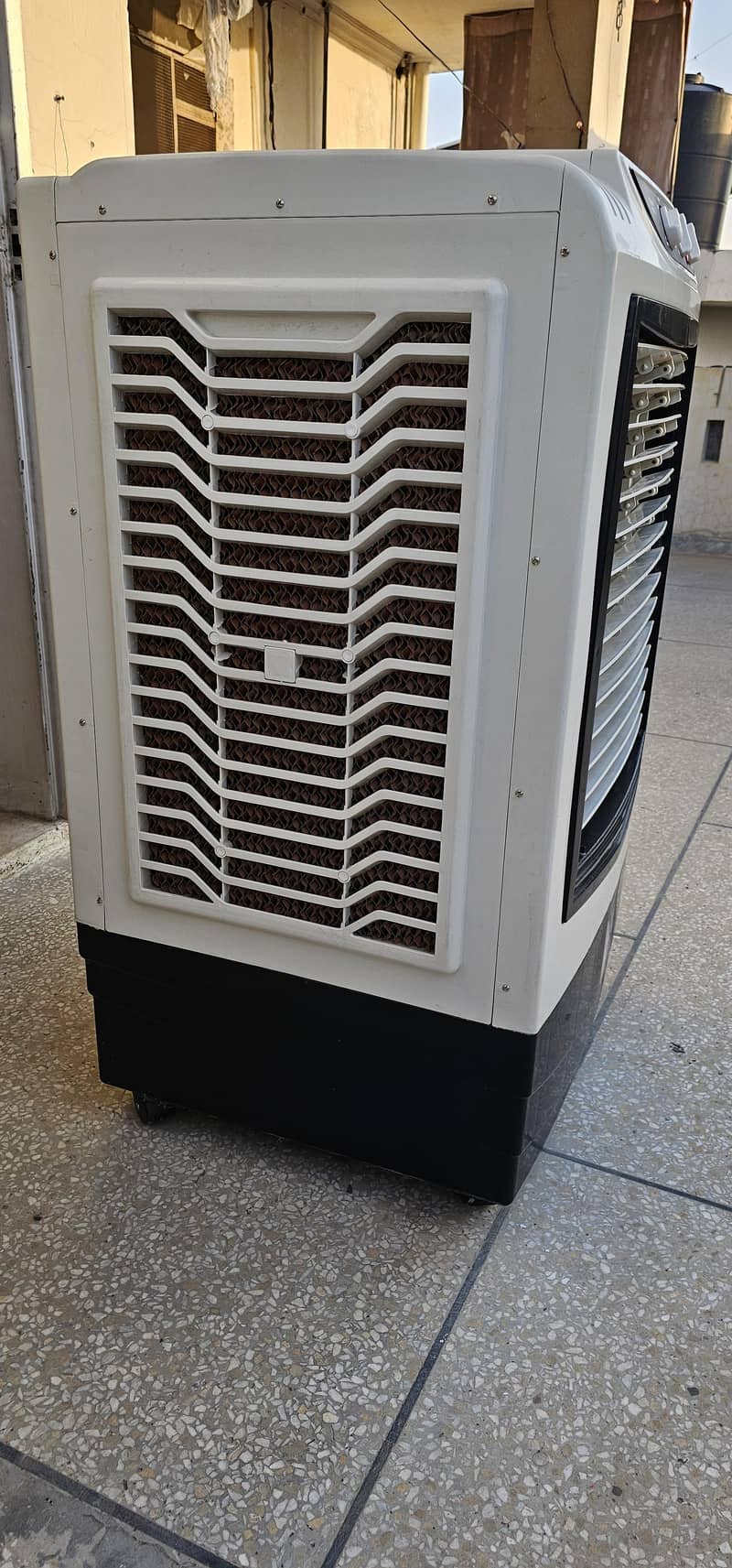 Beetro N-75 2