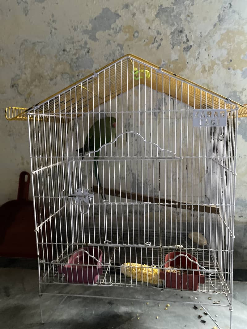 Wait cage 2