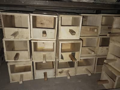 Finches, Cocktaiels and Love bird boxes