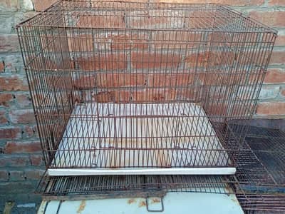 birds & hen cages