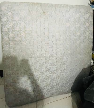 Master Molty foam