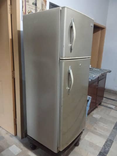 Haier Fridge (refrigerator)