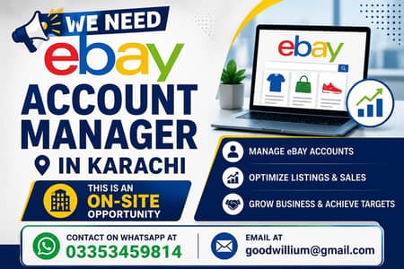 need ebay account manager