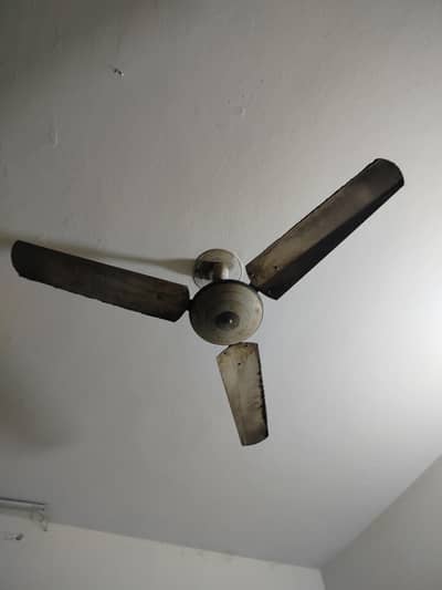 Ceiling Fan Copper Large for sale