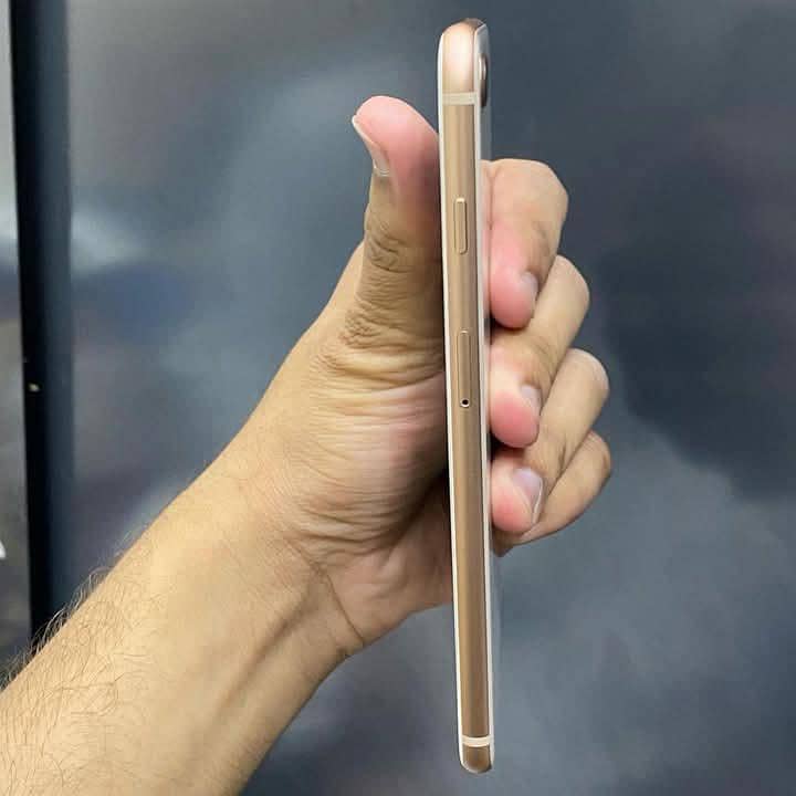 Apple iPhone 8 Plus 1