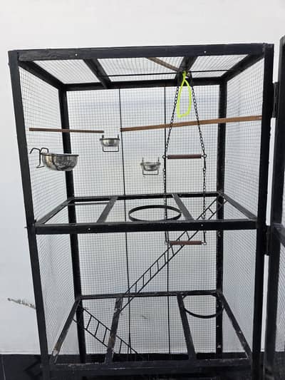 Best Cage for Pigeon And parrots