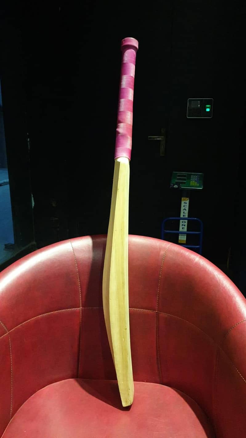 Premium Hard Ball Bat 1
